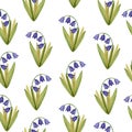 Seamless pattern with watercolor blue flowers bells on a white background. Floral print. Royalty Free Stock Photo