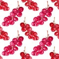 Seamless pattern watercolor branch with red autumn berries on white. Grapes, lingonberry, cranberries, currants. Art