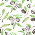 A seamless pattern with the watercolor branches of black olives on a white background Royalty Free Stock Photo