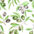 A seamless pattern with the watercolor branches of green and black olives on a white background Royalty Free Stock Photo