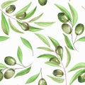 A seamless pattern with the watercolor branches of green olives on a white background Royalty Free Stock Photo