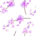Seamless pattern with the watercolor branches with the pink, purple and violet Delphinium flowers