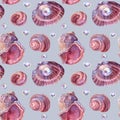 Seamless pattern watercolor brown pink spiral sea shell with bead pearl on blue background. Hand drawn nature realistic Royalty Free Stock Photo