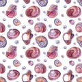 Seamless pattern watercolor brown pink spiral sea shell with bead pearl on white background. Hand drawn nature realistic Royalty Free Stock Photo