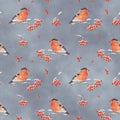 Seamless pattern with watercolor bullfinch on snow-covered branch of rowan Royalty Free Stock Photo