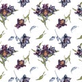 Seamless pattern with watercolor bunch of dark flowers and leaves isolated on white. Gothic floral print hand drawn Royalty Free Stock Photo