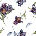 Seamless pattern with watercolor bunch of dark flowers and leaves isolated on white. Gothic floral print hand drawn Royalty Free Stock Photo