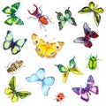 Seamless Pattern Watercolor Butterflies and Bugs