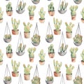 Seamless pattern of watercolor cacti in a pots and hanging houseplants