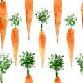 Seamless pattern of watercolor carrot for background