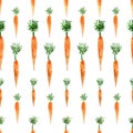 Seamless pattern of watercolor carrot for background
