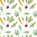 Seamless pattern with watercolor carrot, beet, arugula. Hand drawn illustration is isolated on white. Vegetables