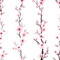 Seamless pattern with watercolor cherry blossom branches hand painted. illustration on white background