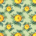 Seamless pattern watercolor citrus fruit slice of orange and greenery leaves on green. Hand-drawn fresh summer food Royalty Free Stock Photo