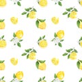 Seamless pattern watercolor with citrus lemon fruit white flower background Royalty Free Stock Photo