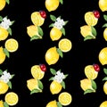 Seamless pattern watercolor with citrus lemon fruit white flower background Royalty Free Stock Photo