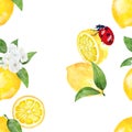 Seamless pattern watercolor with citrus lemon fruit white flower background Royalty Free Stock Photo