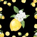 Seamless pattern watercolor with citrus lemon fruit white flower background Royalty Free Stock Photo