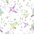 Seamless pattern of watercolor colibri and feathers Royalty Free Stock Photo