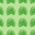 Seamless pattern with watercolor colored pencils hand drawn illustration of tropic leaves of marijuana