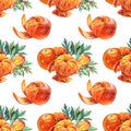 Seamless pattern watercolor composition citrus fruit orange peel the tangerine with green leaves isolated on white Royalty Free Stock Photo