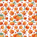 Seamless pattern watercolor composition citrus fruit orange or tangerine with peel, green leaves, red berries on white Royalty Free Stock Photo