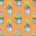 Seamless pattern of the watercolor crocus flowers in a rusty buckets Royalty Free Stock Photo