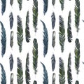 Seamless pattern with watercolor drawing feathers