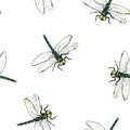 Seamless pattern with watercolor drawing insects