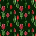 Seamless pattern from watercolor drawings of blooming red tulips Royalty Free Stock Photo