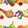 Seamless pattern from watercolor drawings of set various ripe fruits,yellow apples,red cherries and plum,blue chokeberry berries, Royalty Free Stock Photo