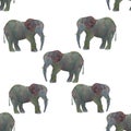 Seamless pattern watercolor elephant isolated on white background