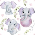 Seamless pattern with watercolor elephants.