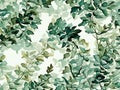 Seamless pattern with watercolor ferns and forest herbs