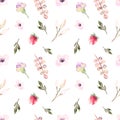 Seamless pattern watercolor floral design: garden rose peony, powder white pink, branch green Royalty Free Stock Photo