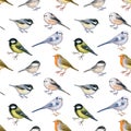 Seamless pattern with watercolor of forest birds.