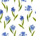 Seamless pattern with watercolor forget-me-not. Hand drawn illustration is isolated on white. Floral ornament Royalty Free Stock Photo