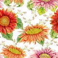 Seamless pattern with watercolor gerbera flower. Royalty Free Stock Photo