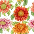 Seamless pattern with watercolor gerbera flower. Royalty Free Stock Photo