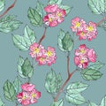 Seamless pattern of watercolor graphic sprigs of flowering red hawthorn on a turquoise background