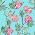 Seamless pattern of watercolor graphic sprigs of flowering red hawthorn on a turquoise background