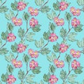 Seamless pattern of watercolor graphic sprigs of flowering red hawthorn on a turquoise background