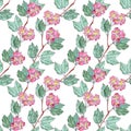 Seamless pattern of watercolor graphic sprigs of flowering red hawthorn on a white background