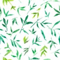 Seamless pattern watercolor of green bamboo leaves, painting plant illustration Royalty Free Stock Photo