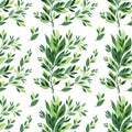 Seamless pattern watercolor green branch leaves on white background. Summer or spring greenery. Hand-drawn object for Royalty Free Stock Photo
