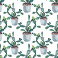 Seamless pattern watercolor green plant succulent cactus opuntia with needles in pot indoor isolated. Hand-drawn Royalty Free Stock Photo