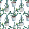 Seamless pattern watercolor green plant succulent cactus opuntia with needles in pot indoor on white. Hand-drawn