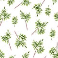 Seamless pattern of watercolor green sprigs with leaves. Isolated hand painted leaves on white Royalty Free Stock Photo