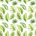 Seamless pattern of watercolor green tropical leaves of monstera, banana and palms Royalty Free Stock Photo