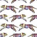Seamless pattern watercolor hand-drawn abstract jump tiger wild cat on white background. Chinese symbol new year. Orange